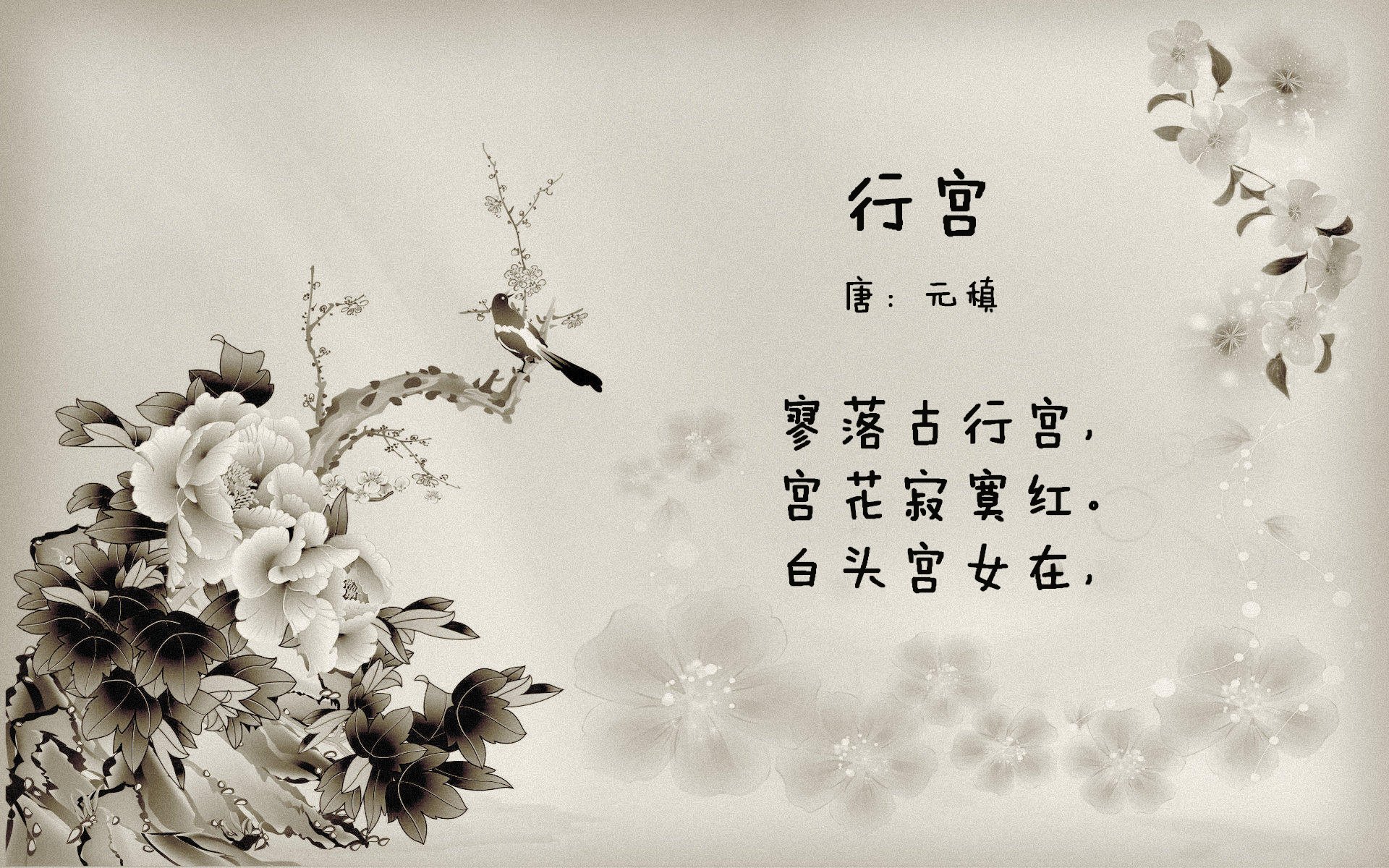 科比：冠军的血统，无私的精神永远激励年轻一代！，科比总冠军穿的什么鞋