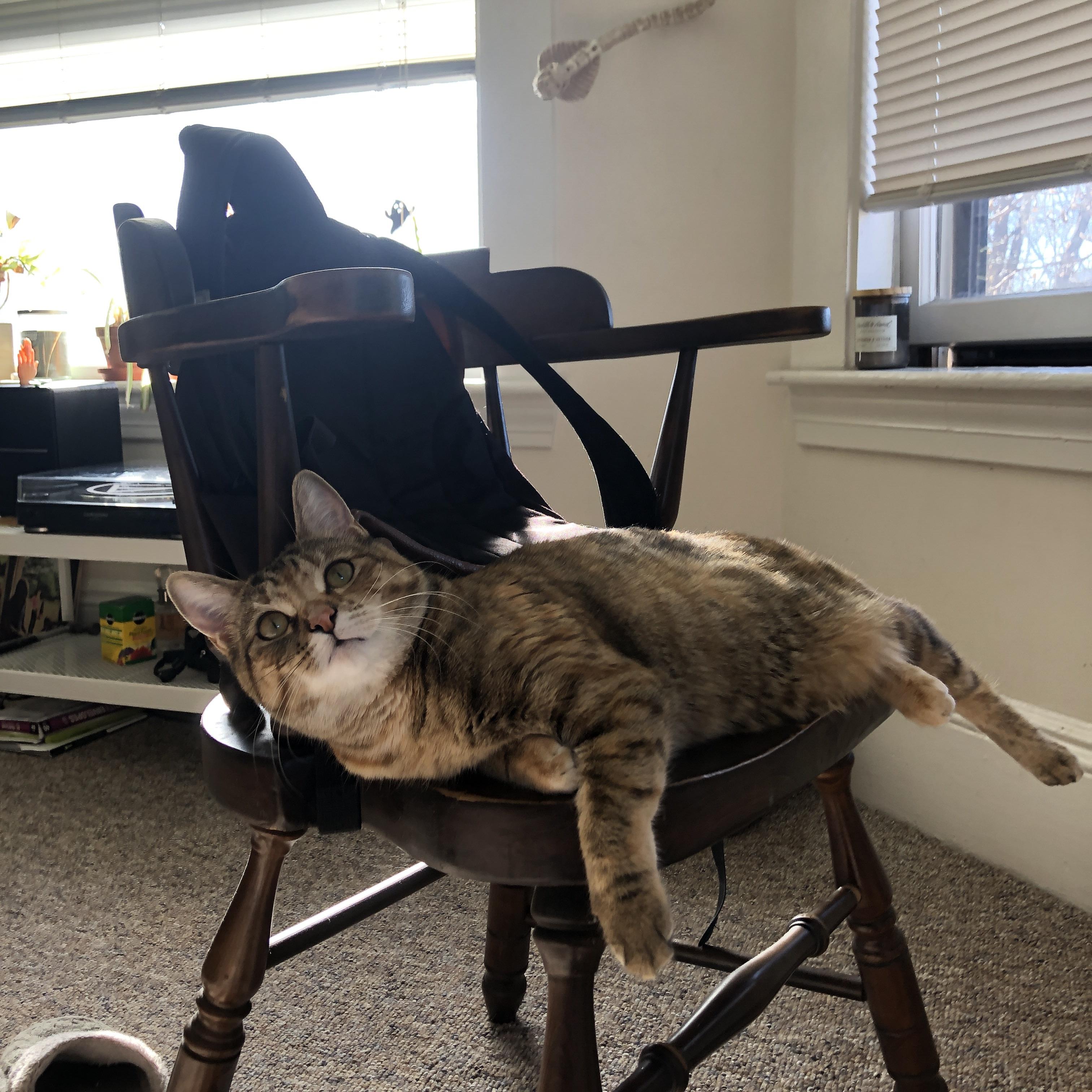 中国男篮专注提升体能 强化比赛持久力,中国男篮训练