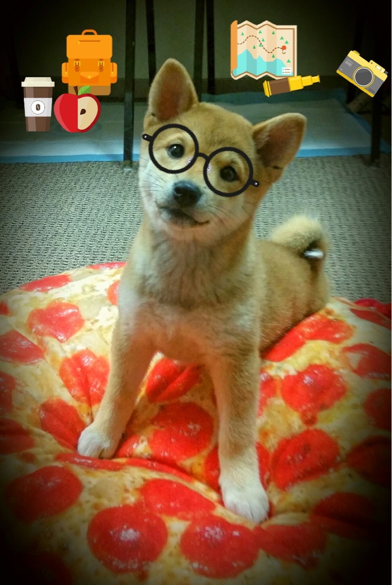 科里·简:全黑队攻防转换中的重要一环,迅速反击让对手措手不及