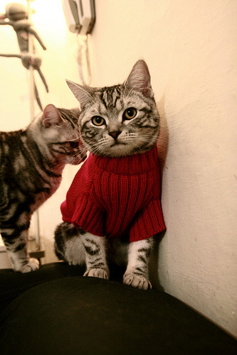 开云网页版-西甲激情难挡：攻守兼备，精彩纷呈！，西甲tv