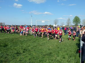 开云·体育官方网站入口-青少年选拔机制改革更加公开透明吸引更多优秀苗子参与，青少年选拔赛比赛结果