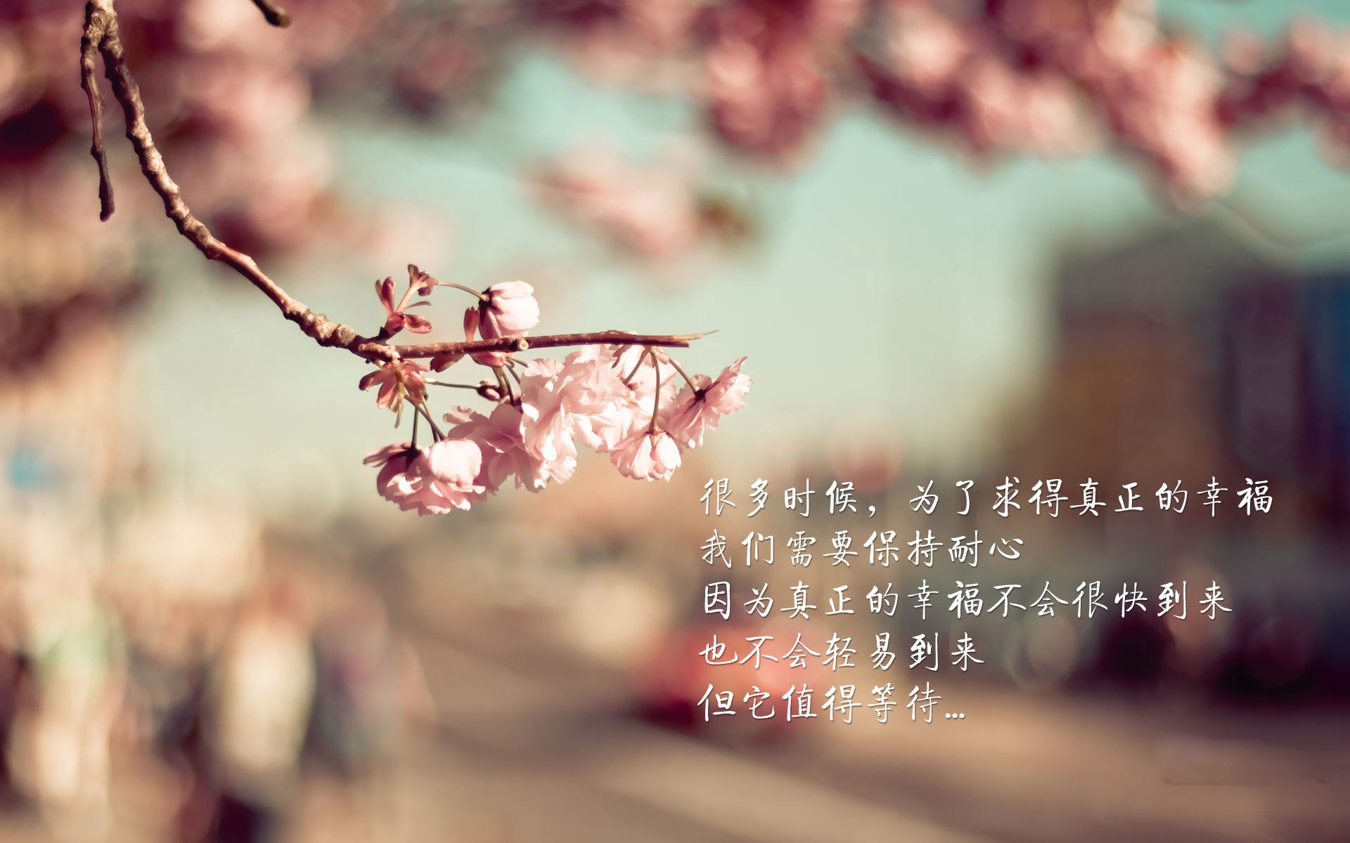 开云下载-黄蜂教练组制定新赛季轮换策略提升效率，黄蜂新赛季阵容