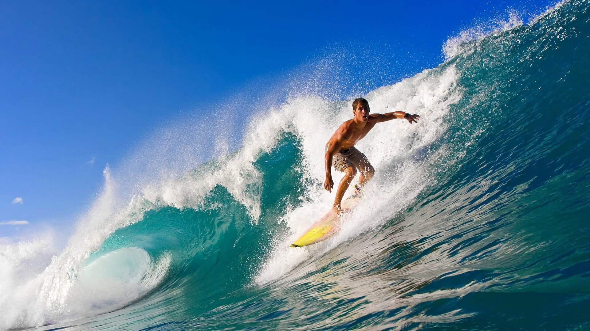 开云·体育官网-_城市水上运动节：划船、冲浪轮番上演_，水上划船项目