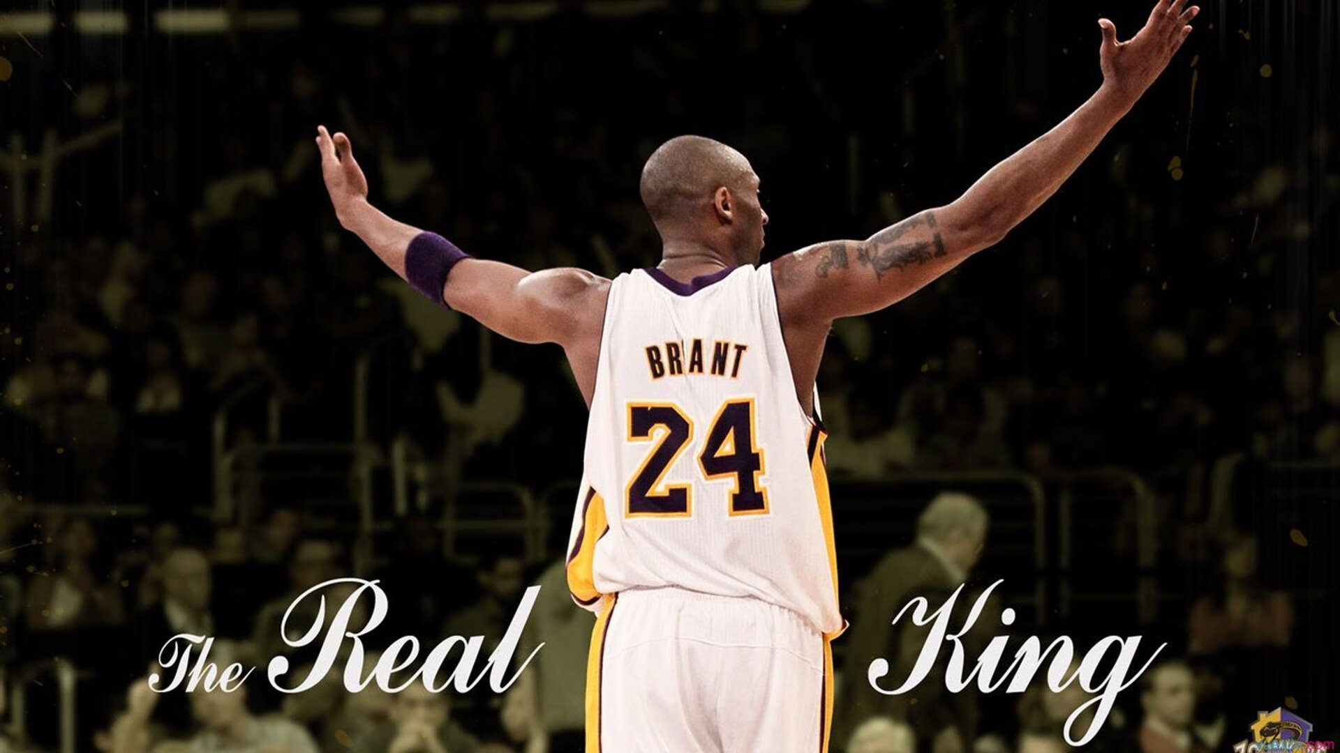 城市帮派篮球争霸战，青春热血的街头竞技，城市篮球挑战赛在哪里